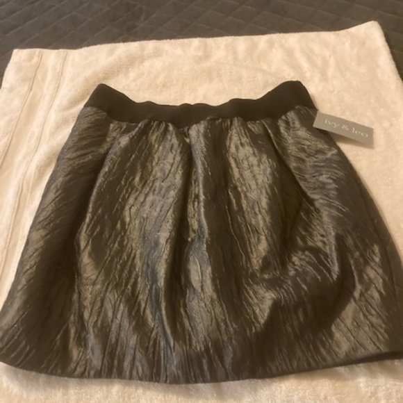 Ivy and Leo charcoal gray mini skirt medium size - Picture 1 of 12